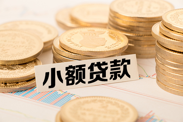 深圳龙岗区小额贷款当天放款-深圳龙岗区哪里可以信用贷款-深圳龙岗区民间借贷