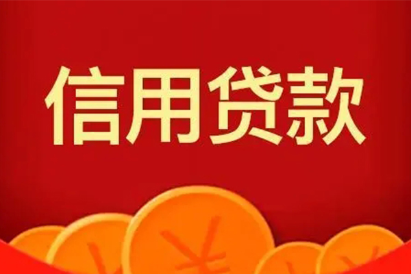 深圳龙岗区个人贷款联系电话-深圳龙岗区民间短期私借借款-深圳龙岗区哪里可以民间借贷